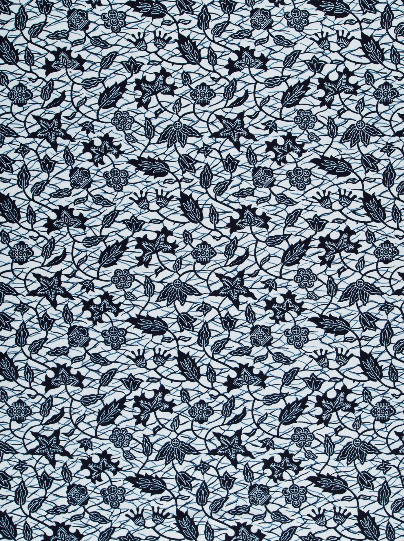 Wax Poplin | VL00040.171 | Adémè - Image 3