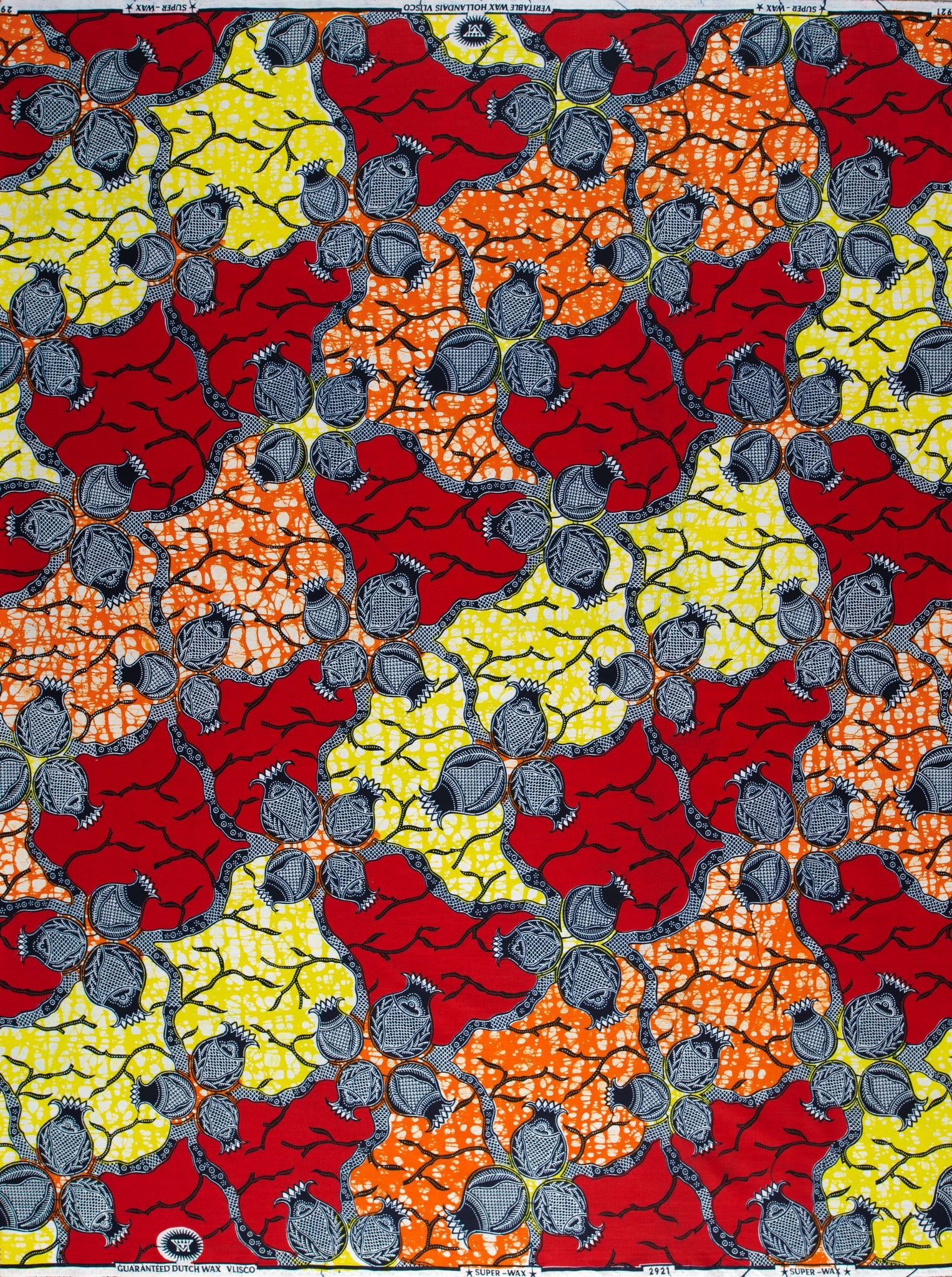 Super-Wax | VL02921.266 | Onion - Image 4