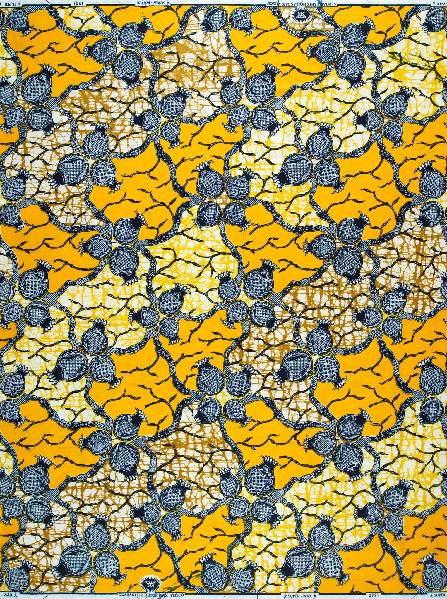 Super-Wax | VL02921.286 | Onion - Image 4