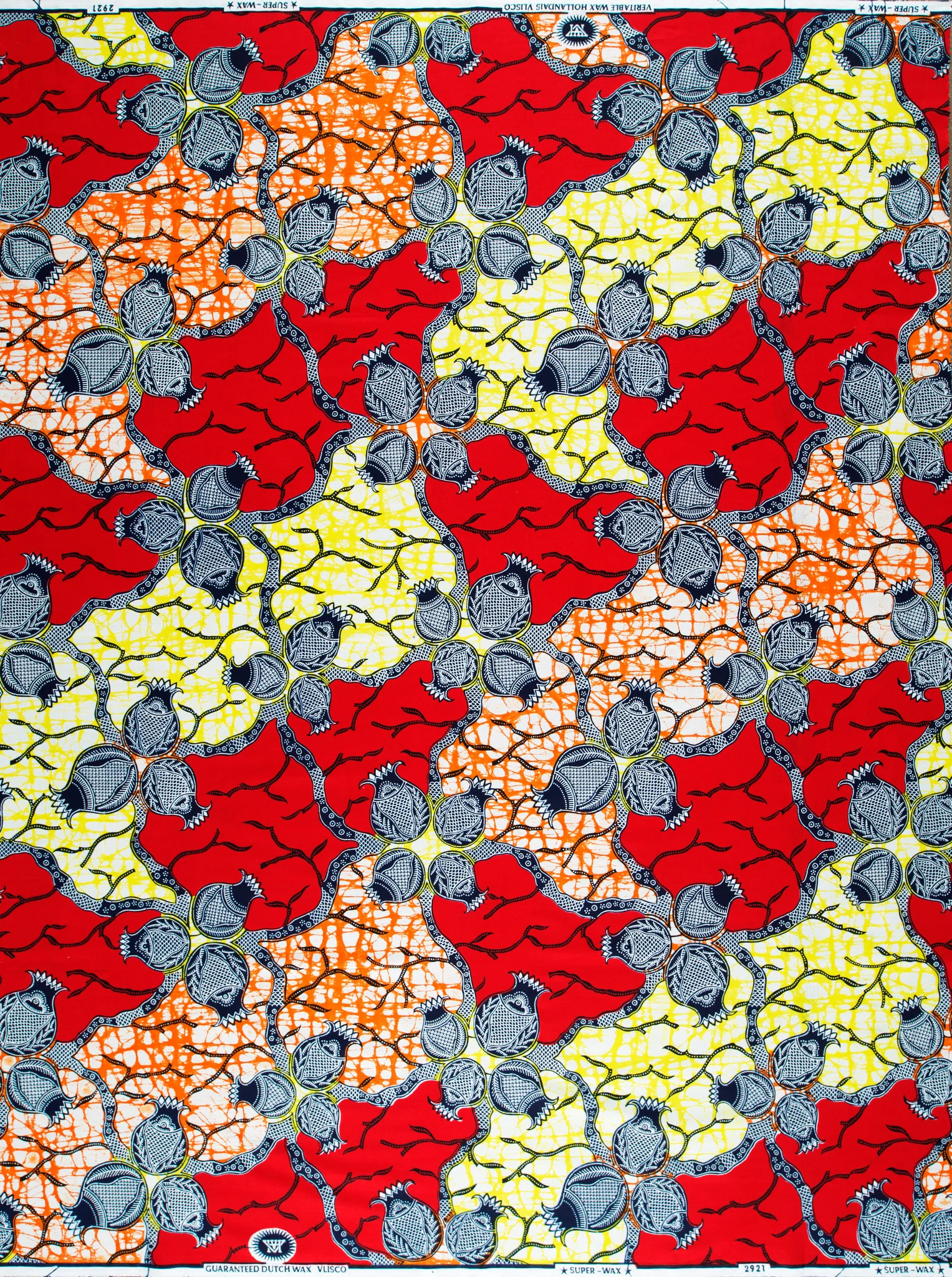 Super-Wax | VL02921.374 | Onion - Image 4