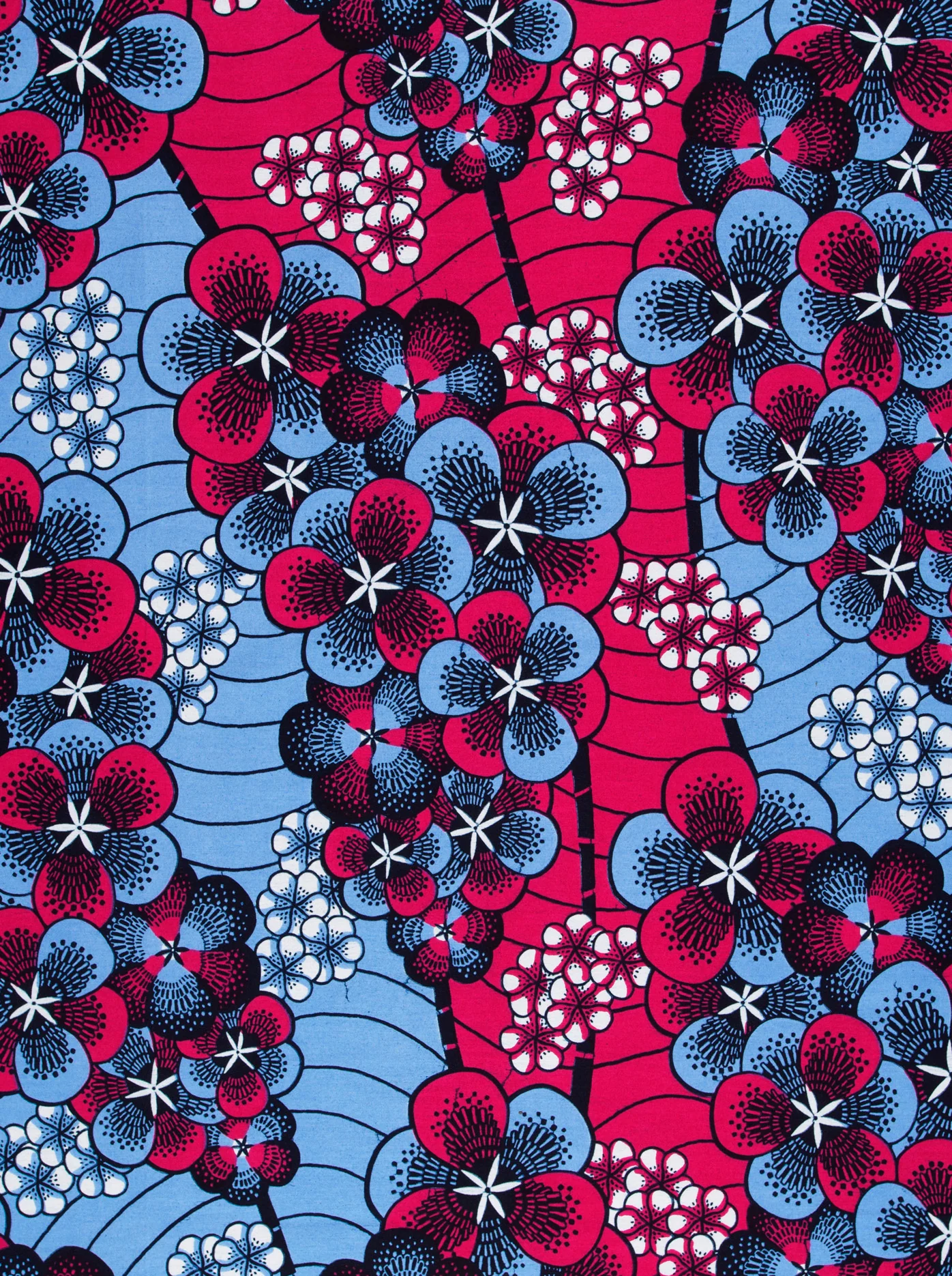 Wax Hollandais | VLW1293.003 - Image 3