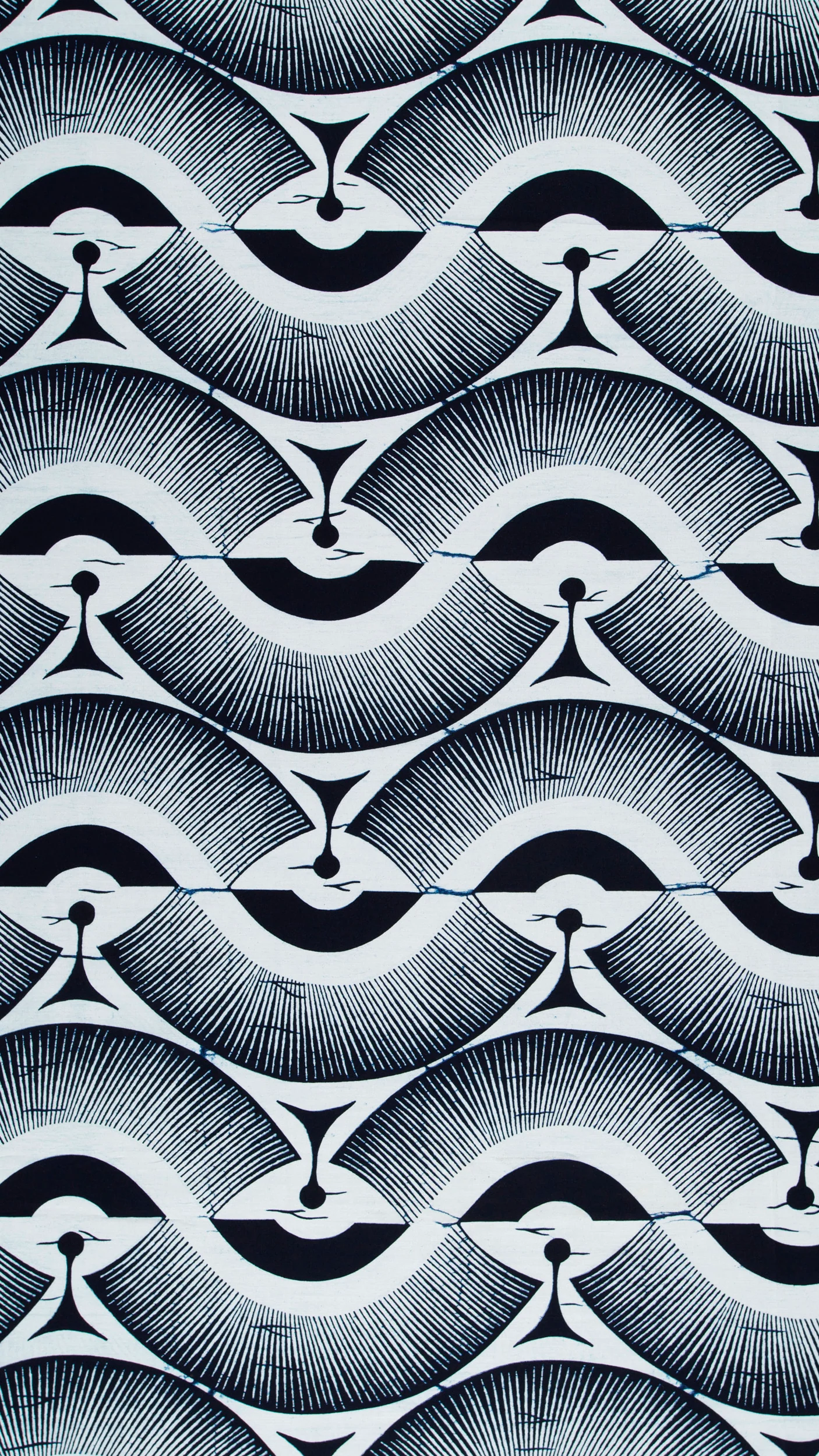 Wax Poplin | VLW2975.013 - Image 3