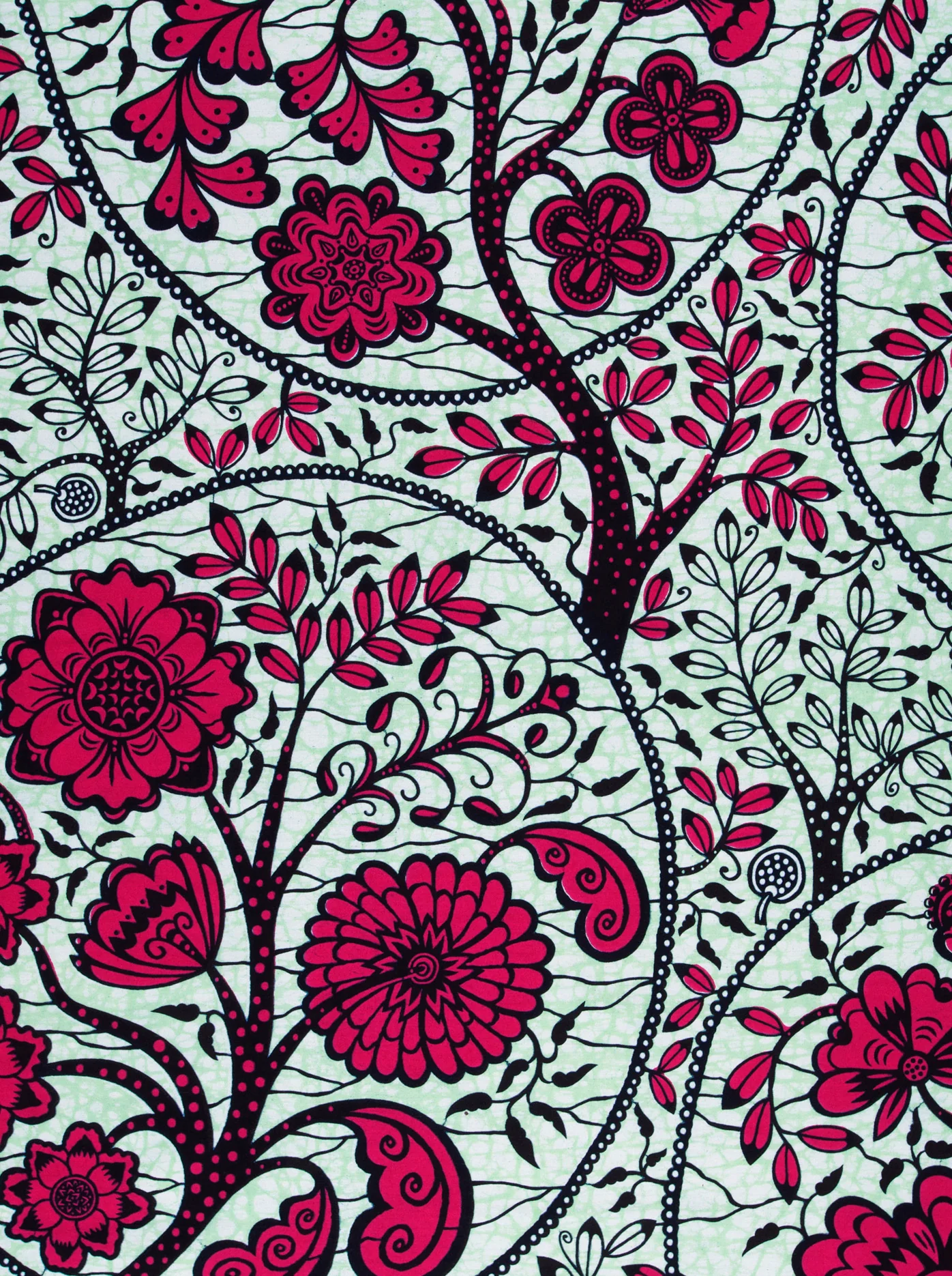 Wax Hollandais | VLW3984.010 - Image 3