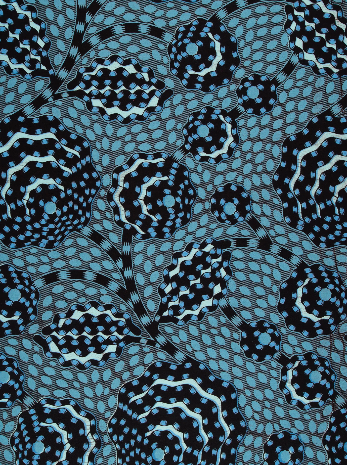 Wax Hollandais | VLW5069.010 | Dynamic flower - Image 3