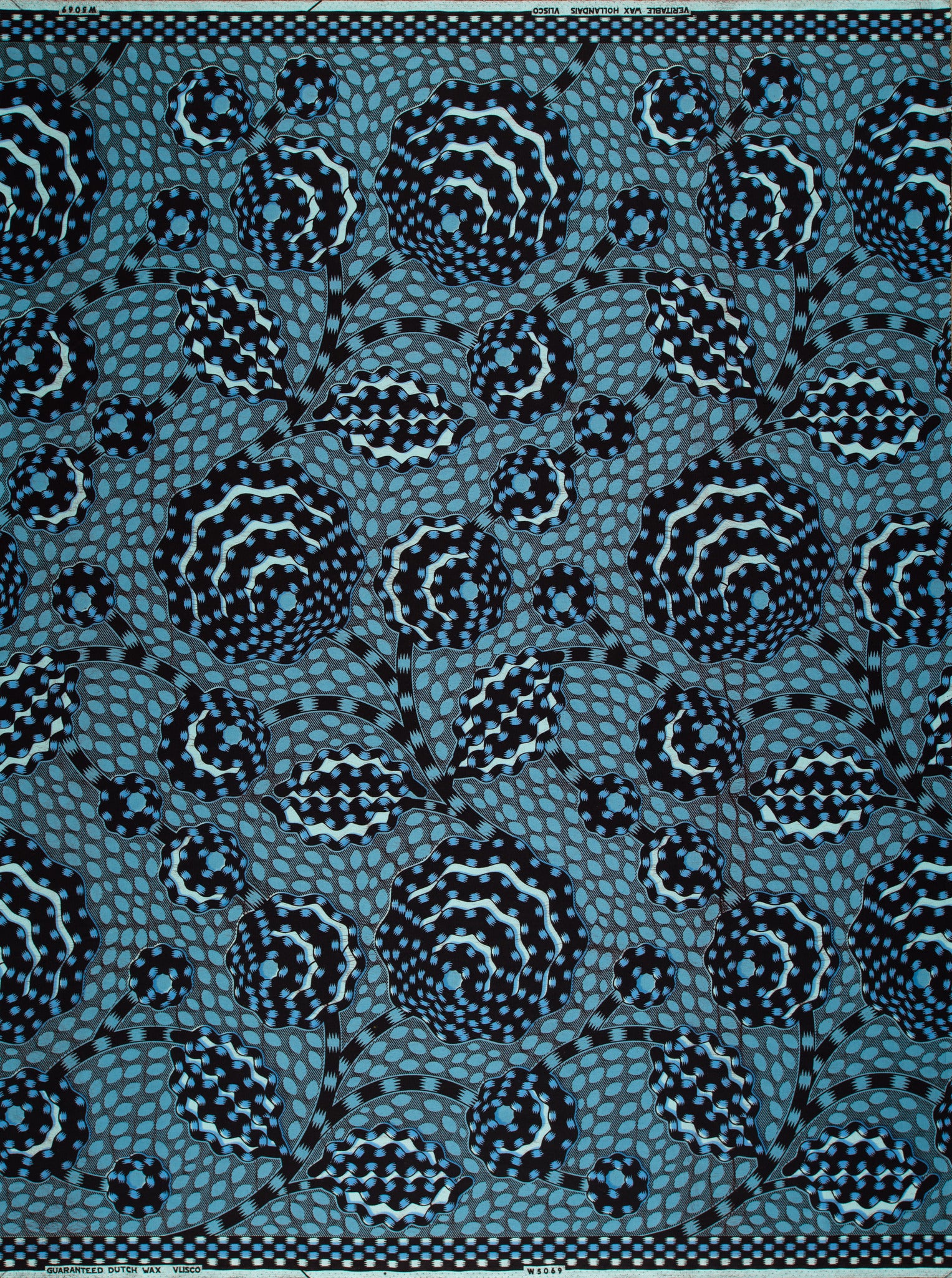 Wax Hollandais | VLW5069.010 | Dynamic flower - Image 4