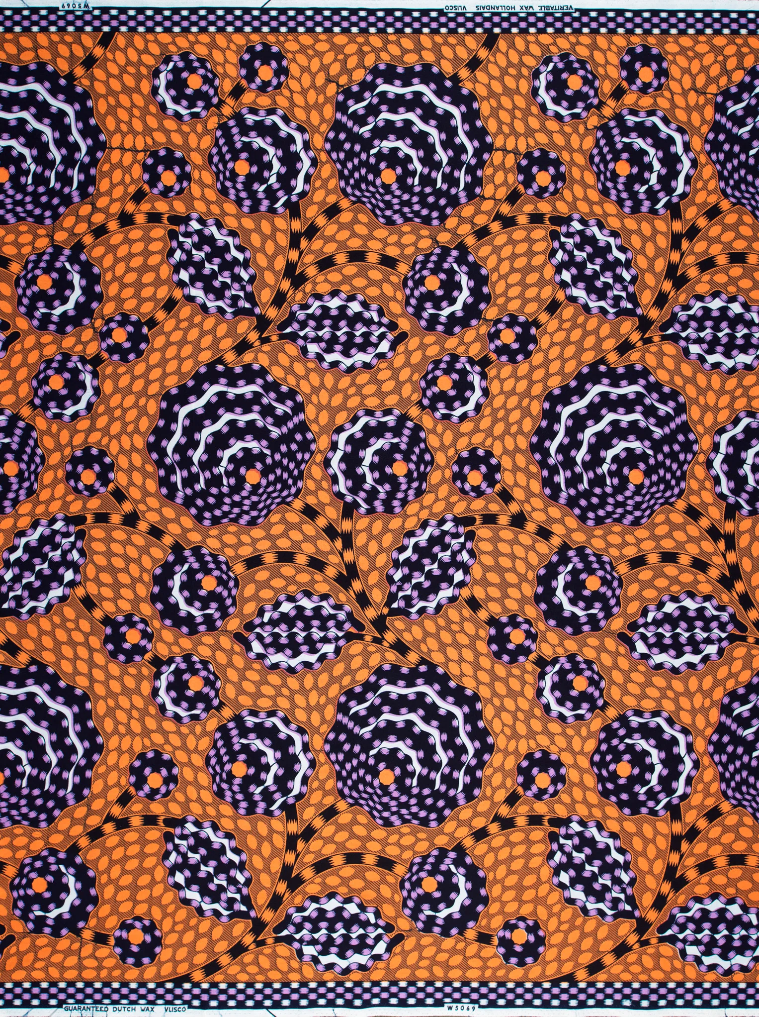 Wax Hollandais | VLW5069.014 | Dynamic flower - Image 4