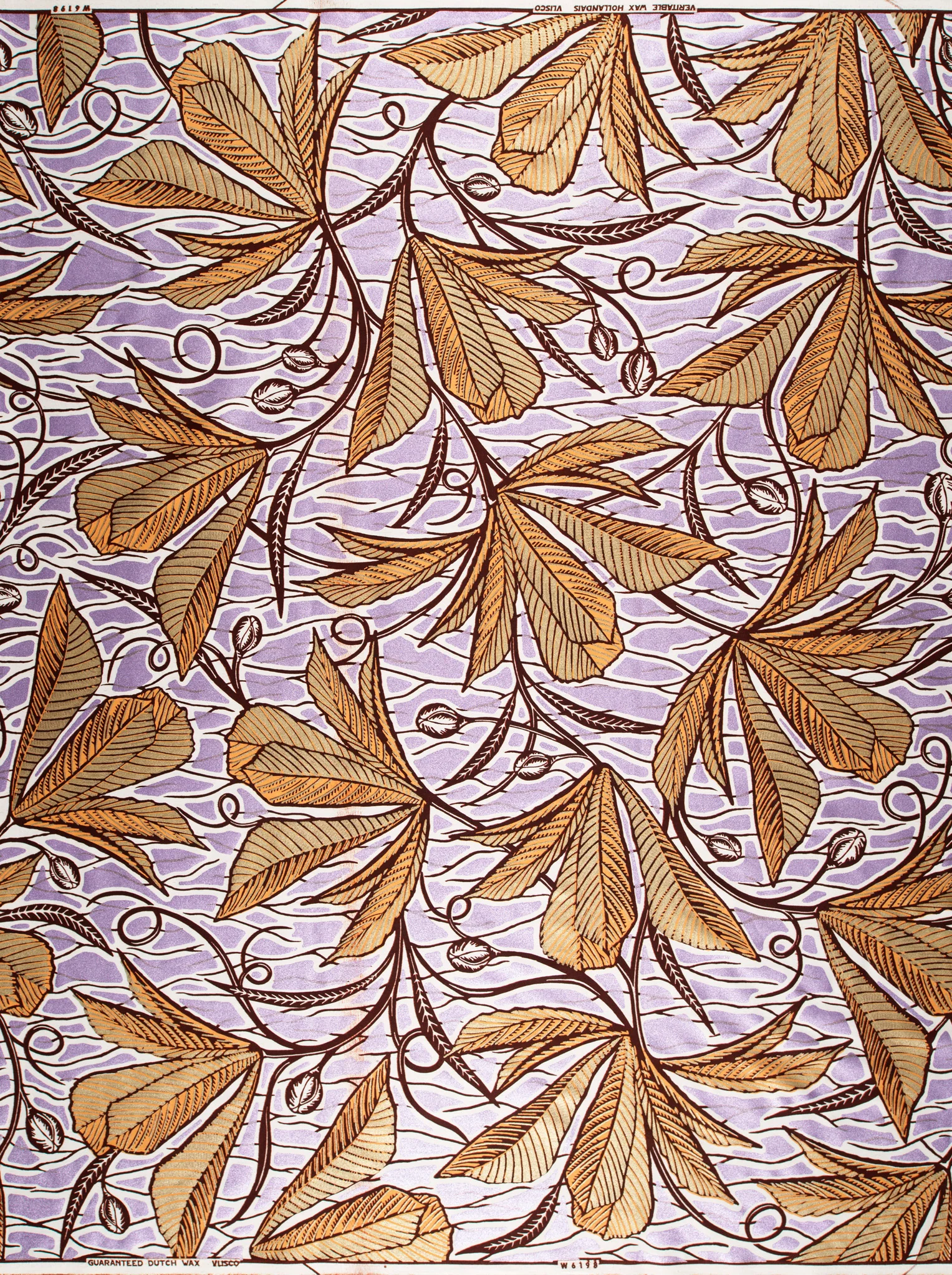 Wax GlitterGlam | VLW6198.021 | Silver Embellished - Image 4