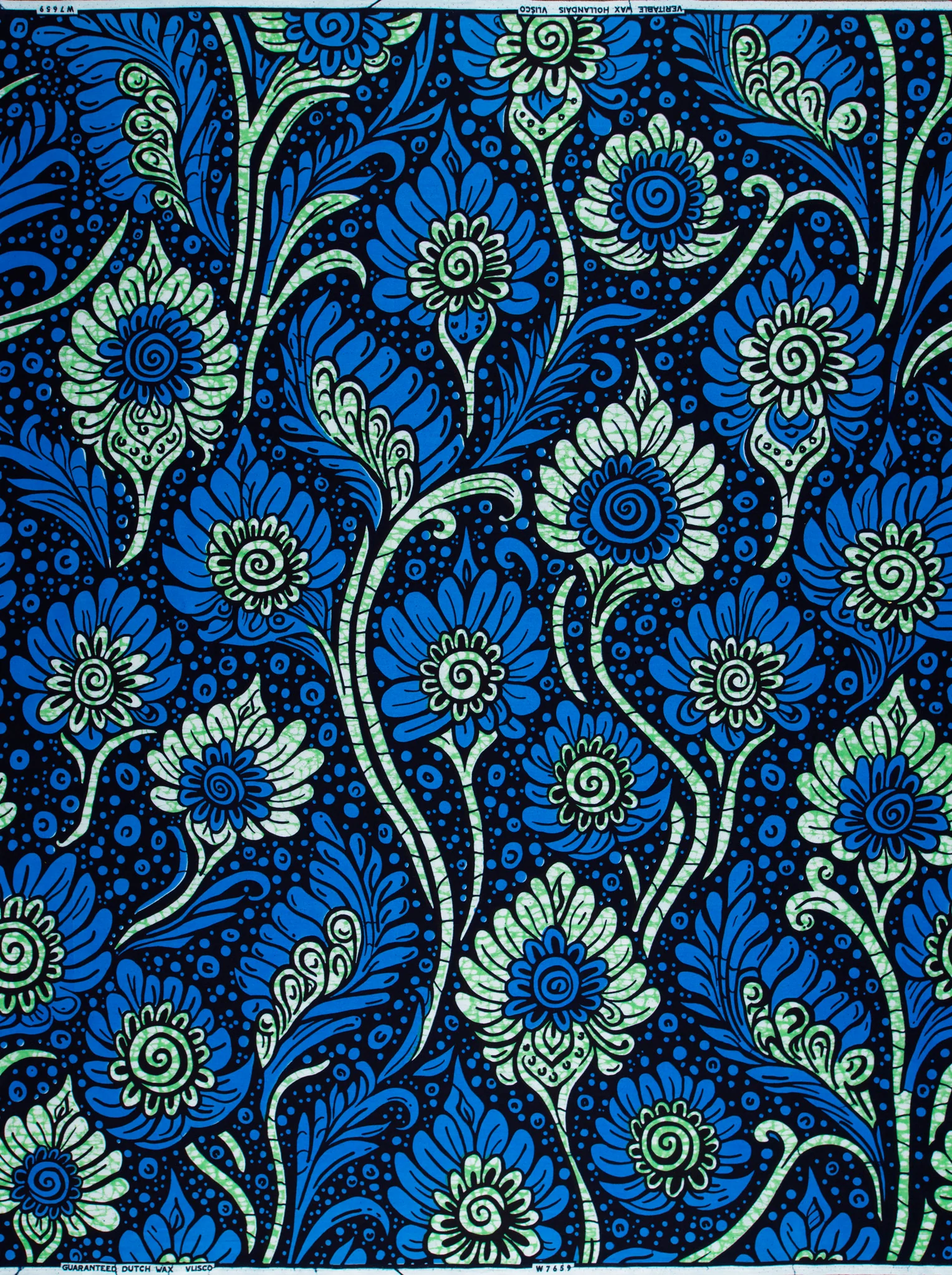Wax Hollandais | VLW7659.001 - Image 4