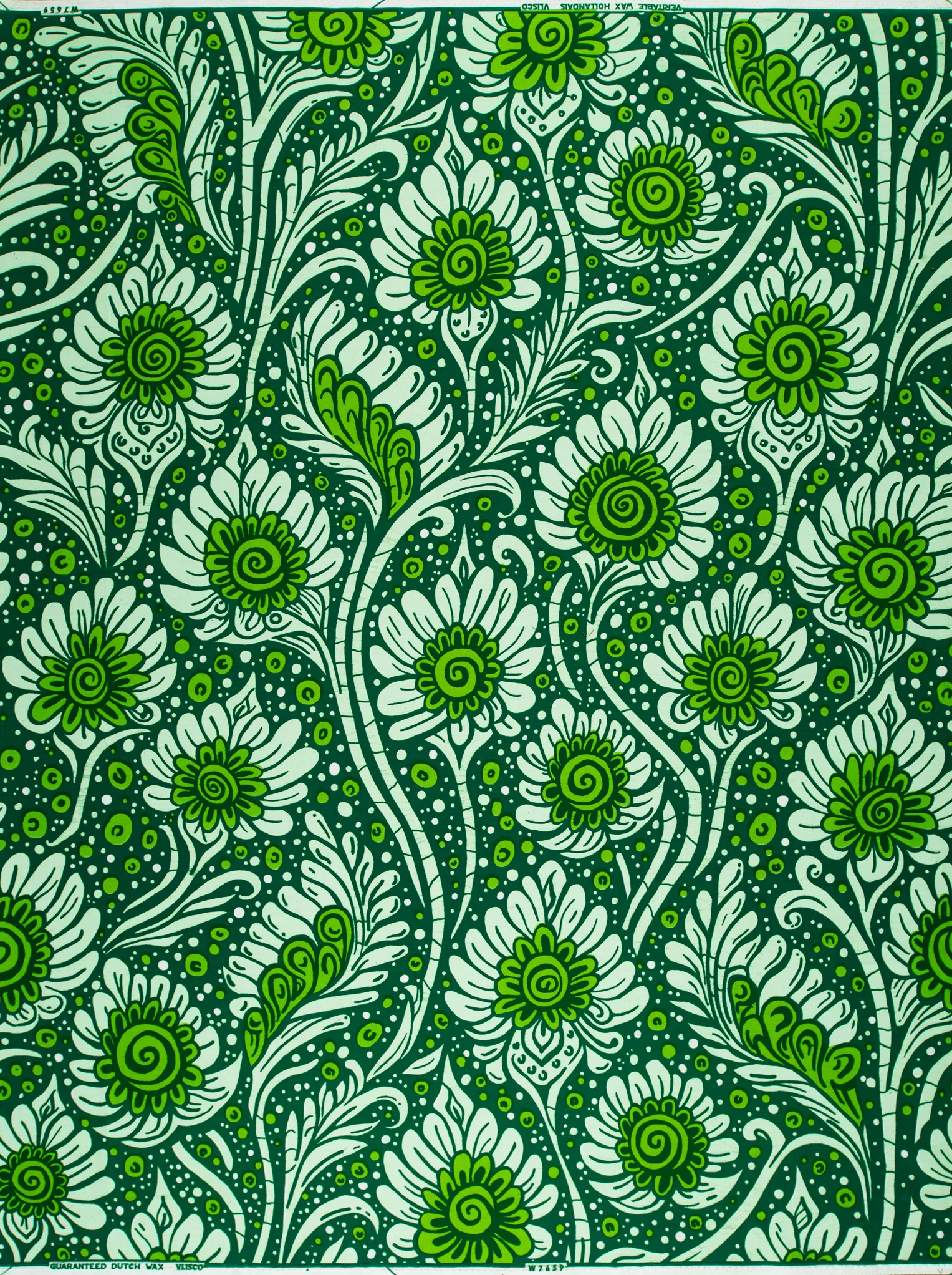 Wax Hollandais | VLW7659.005 - Image 4