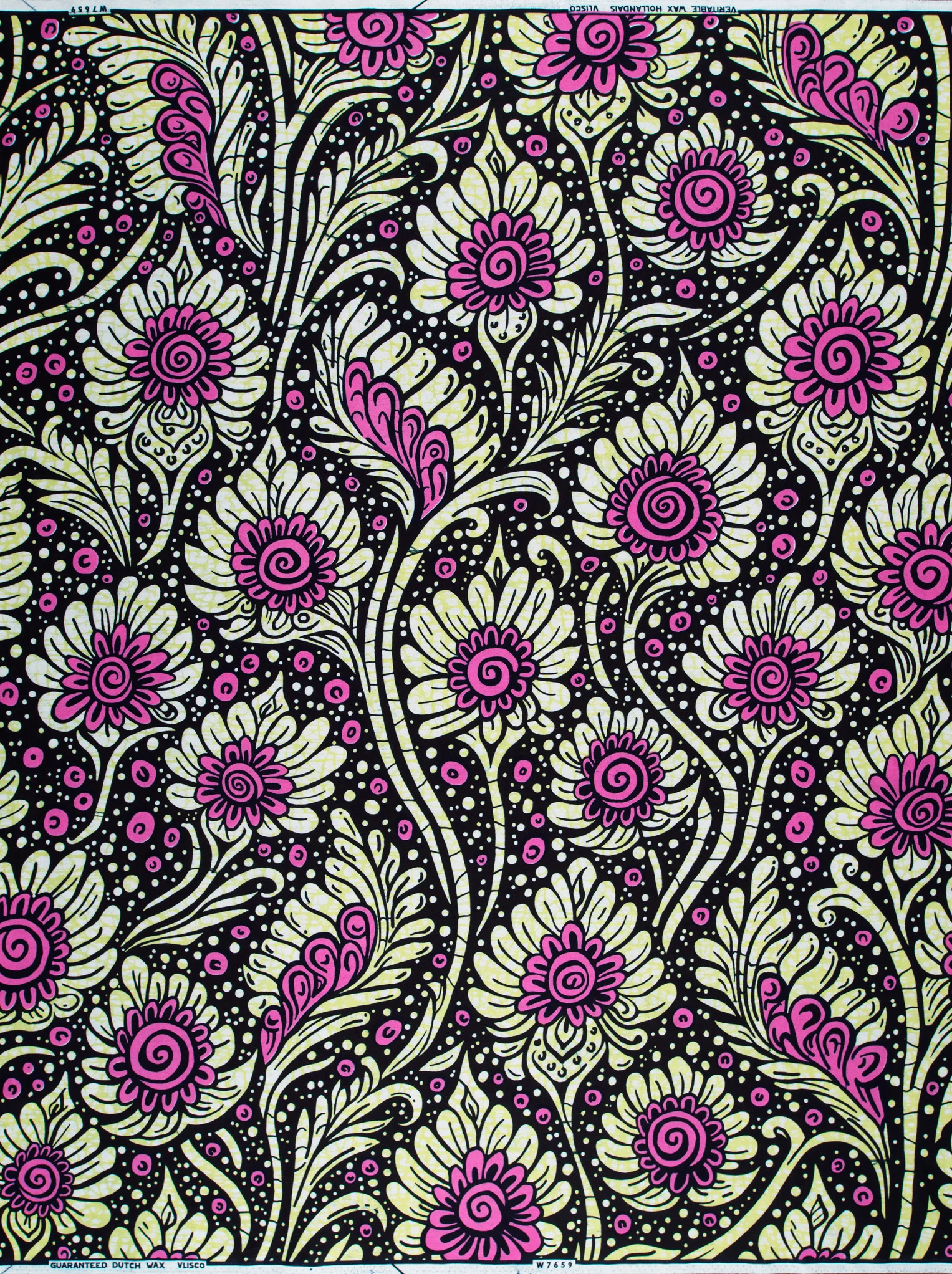Wax Hollandais | VLW7659.011 - Image 4