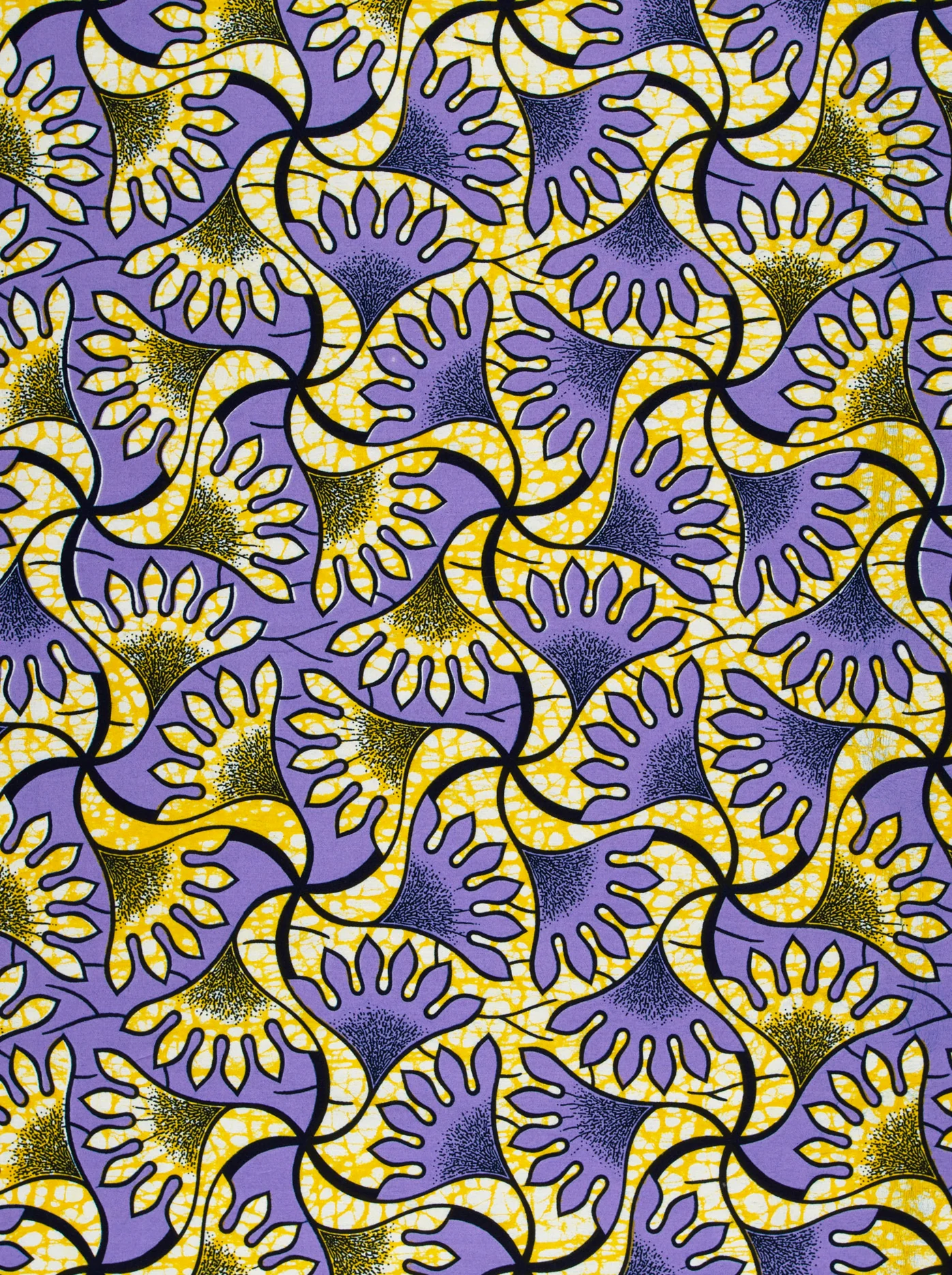 Wax Hollandais | VLW8243.012 - Image 3
