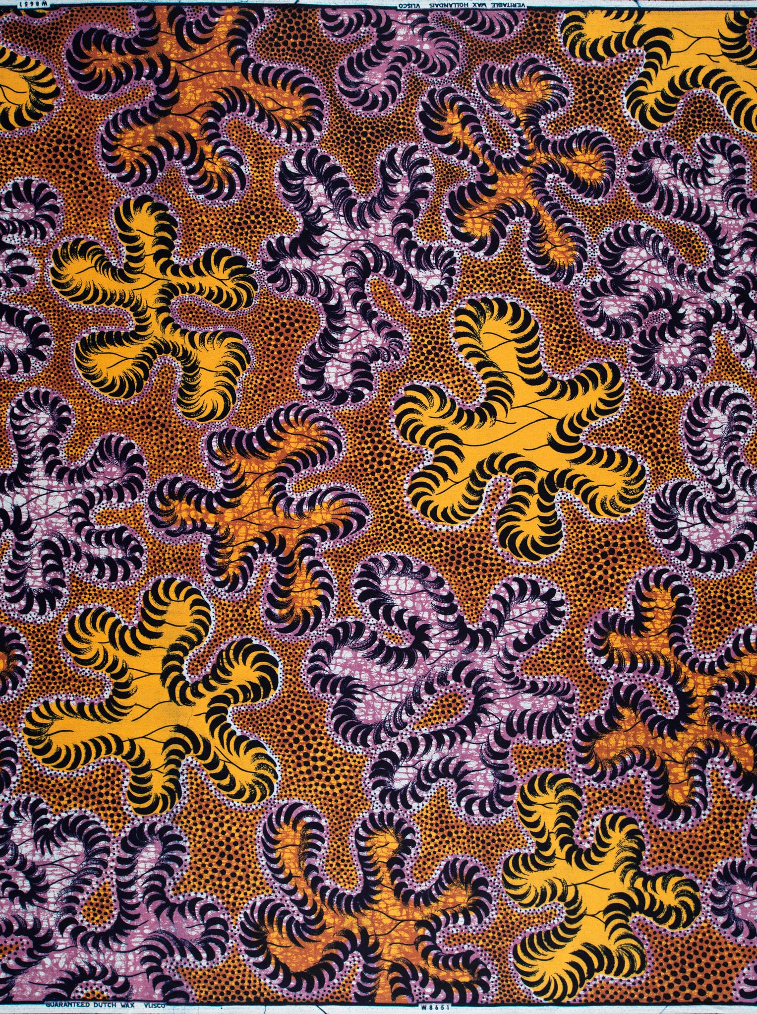 Wax Hollandais | VLW8651.004 - Image 4