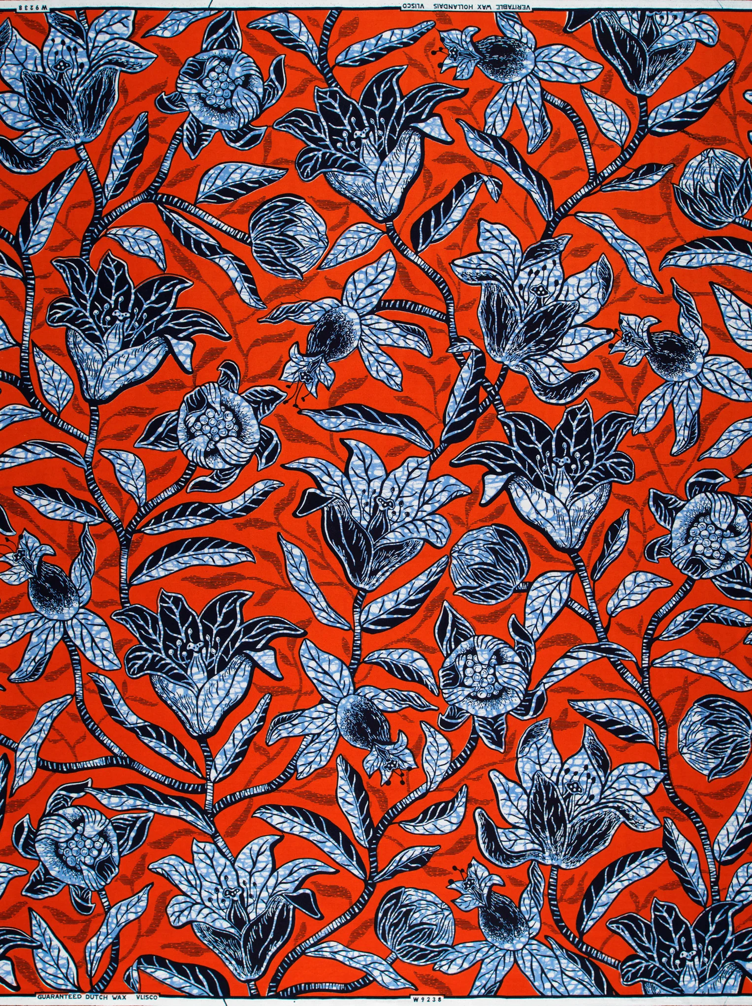Wax Hollandais | VLW9238.005 - Image 4