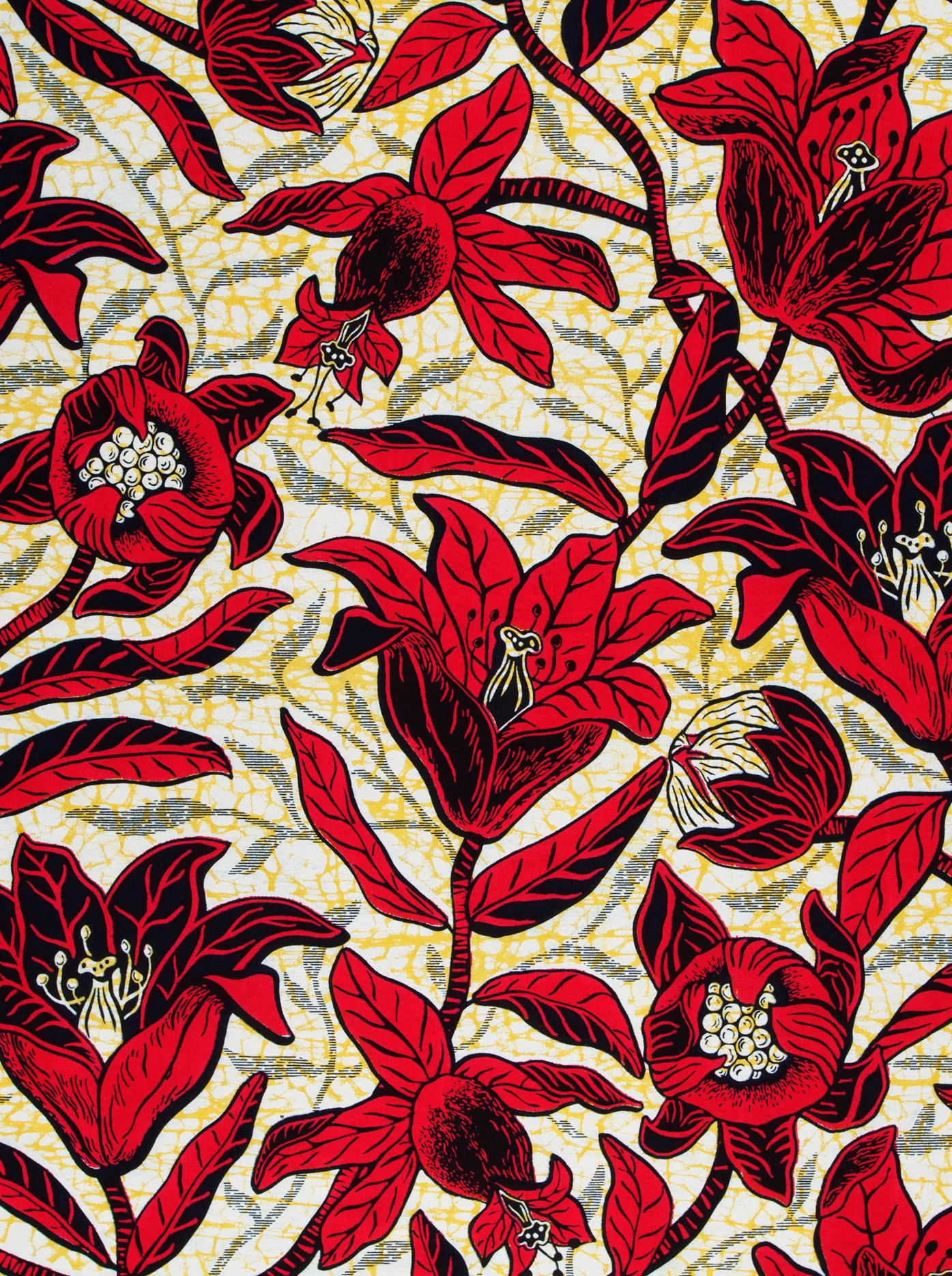 Wax Hollandais | VLW9238.006 - Image 3